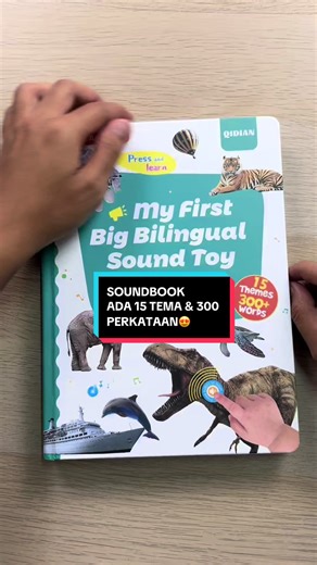 Exploring the Soundbook: 15 Themes and 300 Words