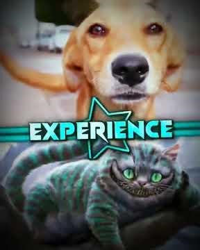 Wheel WIS editor elimination parte 3 || ‪Caramelo vs Logan e docstar vs tinky