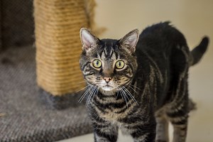 62 reactions · 8 comments | Recently Sanctuary One lost a beloved...