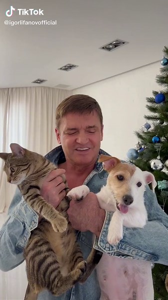 Cute Cat and Dog Interact in Christmas Decorated Room