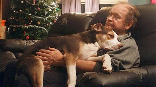 Grandparents love their dogs like cherished family members