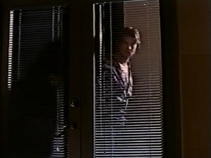 Опасный эксперимент - Котяра. Опасные страсти / Tomcat Dangerous Desires (1993) Norim.LT
