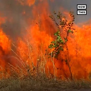 1.2M views · 14K reactions | Wildfires in the Amazon rainforest are so massive, they can be seen from space | NowThis | Facebook