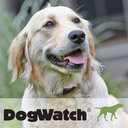 West Dakota DogWatch Hidden Pet Fences | Bismarck ND