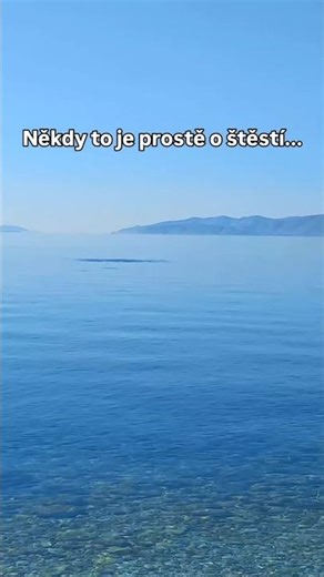 Delfíni v Novi Vinodolski.#delfín #novivinodolski #cestovani #chorvatsko #summer #dovolena #travel