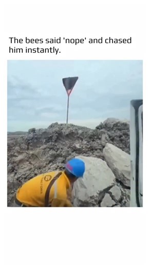 @earthspctr on Instagram: "The post features a hilarious 15-second clip in which a man notices a group of black bees settled on a small wooden post. Acting mischievously, he throws a pebble at them, instantly sending the entire swarm buzzing angrily toward him. Before they can reach him, he sprints back to his car and slams the window shut just in time, while the bees hover outside attempting to attack. The chaotic timing, his panicked reaction, and the bees’ dramatic chase turn the moment into