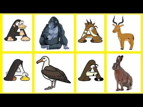 Alphabetimals With Letter 'A' | animal alphabet abc | Alligator, Anaconda, Axolotl & More