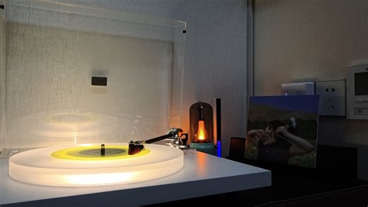 『黑胶音乐』Billie Eilish -《BIRDS OF A FEATHER (Instrumental)》