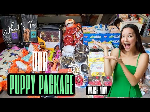 What’s Inside Our Puppy Starter Pack? | New Puppy Essentials