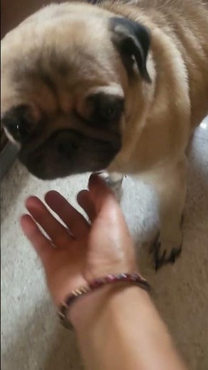 today Alsia shower 🚿 🌼