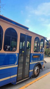 This is your guide to the perfect day at the Sawdust Art Festival 🎄 Start with the free trolley from Lot 16 and let the holiday energy take over — Santa pics in Town Square, balloons from the Balloon Diva, Christmas trees everywhere you look, and 180 artists creating live inside their booths. Discover handmade ornaments, one-of-a-kind art, and gifts you won’t find anywhere else. Catch a live demo or art class, move to the beat across four music stages, grab good food, and soak it all in. Just a