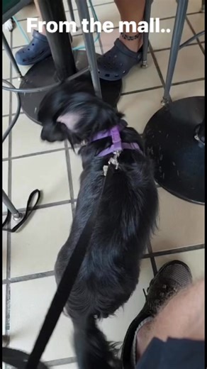 36 reactions · 7 comments |  Real Life Training = Real Life Freedom!...