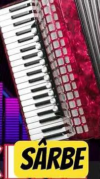 #sarbe #music #moldova #live #romania#tiktok #muzicadepetrecere#muzicapopulara#manele#hora#tutorial