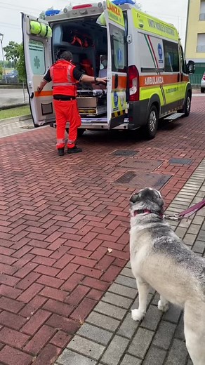 Video di Beatrice Gabrieli (@beatricegabrieli) con To Build A Home - The Cinematic Orchestra