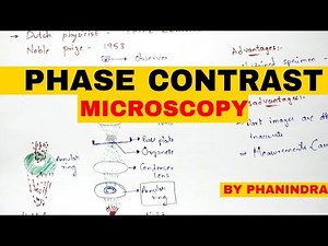 Phase contrast microscopy || Principle | Mechanism | Advantages and disadvantages