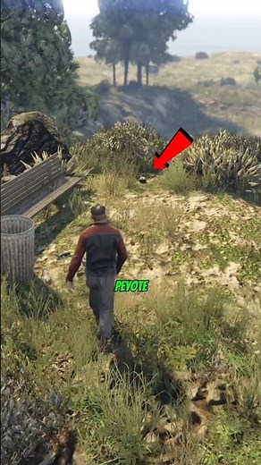 How to became a coyote in gta 5! #gta5 #gta #gameplay #ps5