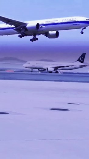 Large Airplane Landing Process on Airport Runway
