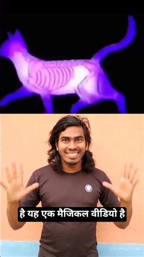 EVERY BLINK MAKES THE CAT FASTER 😱🔥