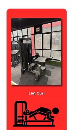 Leg Curl Machine Tutorial | Strengthen Your Hamstrings | Optimum Fitness Nadiad