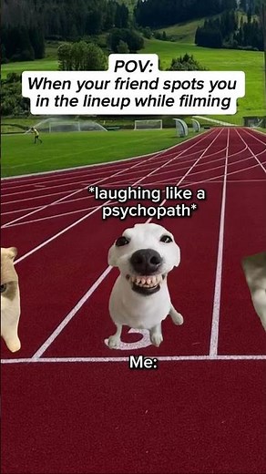 When your friend spots you in the lineup while filming #catmemes #relatable #cat #foryou #fyp