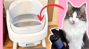 Watch Autoscooper 11 Lets try it out! #cats #pets on Amazon Live