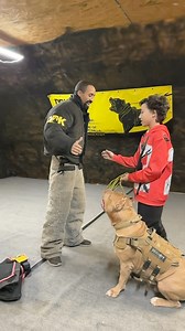 389K views · 9.2K reactions | This dog understands the assignment! That didn’t go as planned lucky he was ready! ‍‍‍ | I am the HULK | Facebook