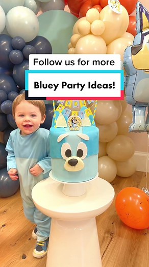 Bluey Party Ideas for Kids!