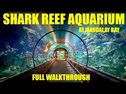 Shark Reef Aquarium at Mandalay Bay - Walking Tour - Full Walkthrough - Las Vegas - 4K