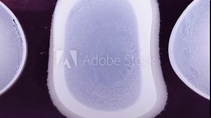 Exploring the mesmerizing patterns of water ripples in a circular basin under soft lighting