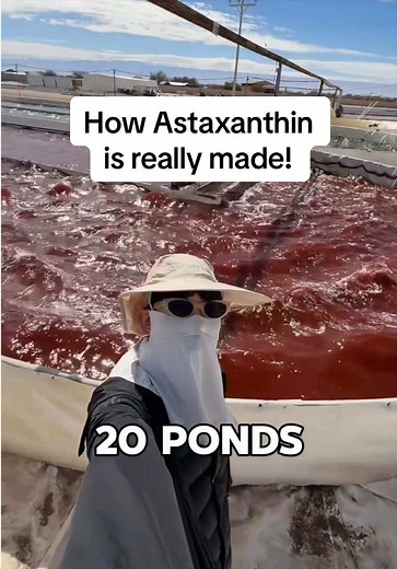 Discover Astaxanthin Supplements in Thailand