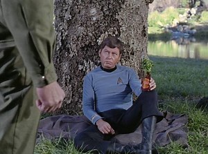 DeForest Kelley, 'Dr. McCoy,' remembered 20 years after his death