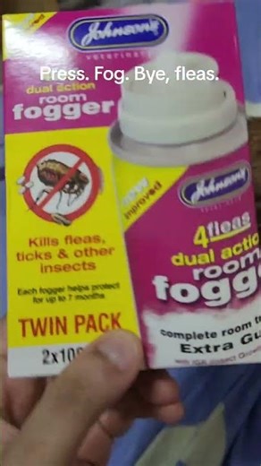 How I Use Johnson’s 4Fleas Room Fogger — Press, Fog, Bye Fleas