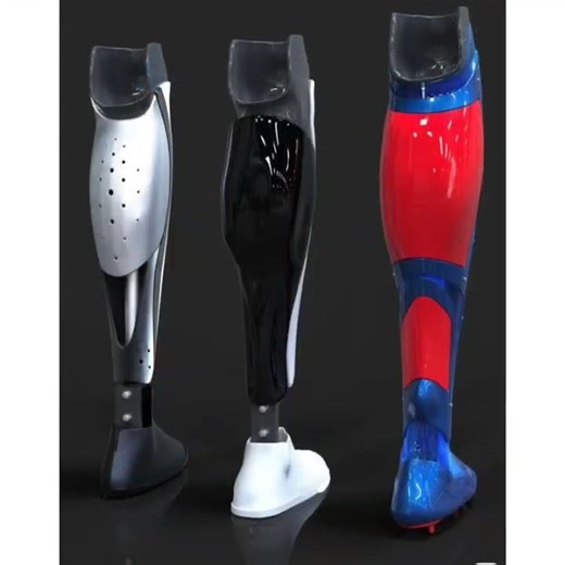 legs of robo