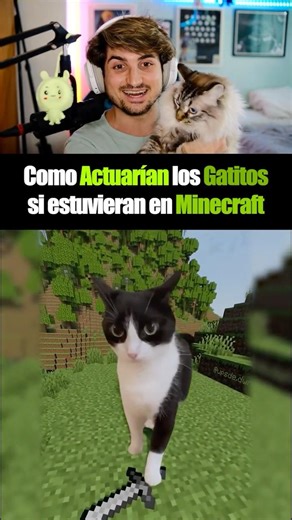 How would kittens act if they were in Minecraft? 😺