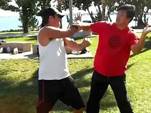 Fighting Arts - Yin Style Bagua - Chopping Strikes