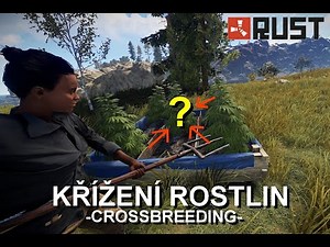 RUST Návod | Křížení rostlin (Crossbreeding)