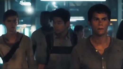 Exploring the Maze Runner Series Characters and Themes