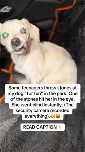 READ CAPTION👇🏻