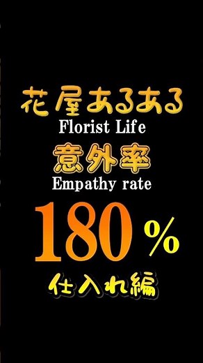 【衝撃】カスミソウは実は高い花だった｜花屋が教える本当の値段