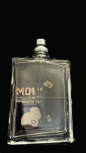 Den trage ich fast jeden Tag. | Molecule 01