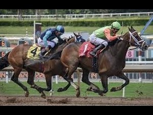 Finally! A Simple Easy to Understand Horse Racing System