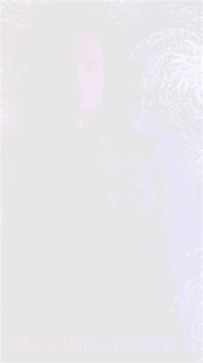 Steven Joyce on Reels