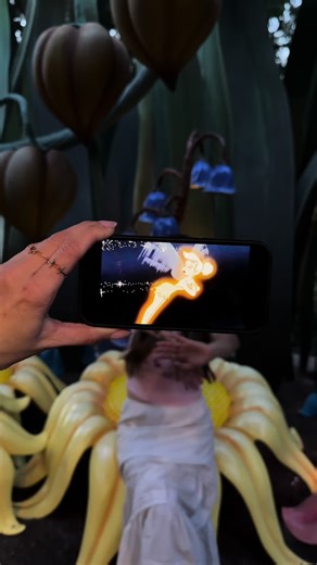 Magical Fairy Moments at Disneyland
