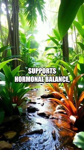 The Power of Suma Root