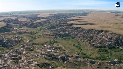 8 Fossil Hotspots That Uncovered Earth’s Lost Creatures!