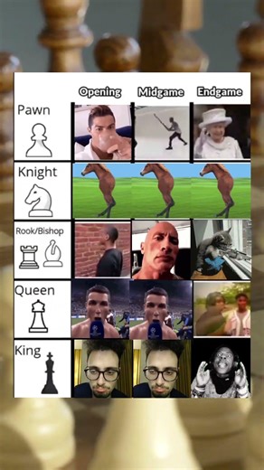 Chess be like #chess #memes #rook #pawn #king #queen #funny #shorts #knight #chessmemes #bishop #fyp