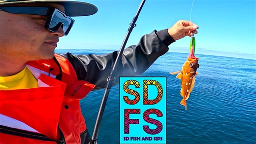 Vertical Jigging & Tackle Techniques for Fishing La Jolla Freedom Boat Club San Diego