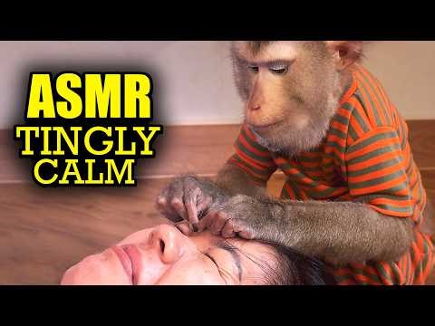 Monkey Grooming ASMR (No Talking) | Soft Scratching, Pure Tingles (SOUNDLY SLEEP)