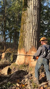 December 1st Pumpkin carve. #ra_treeservice #logging #treeservice #cottonwood | R&A Tree Service, LLC.