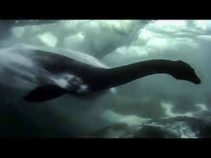 世界の水棲のUMA映像【未確認生物】